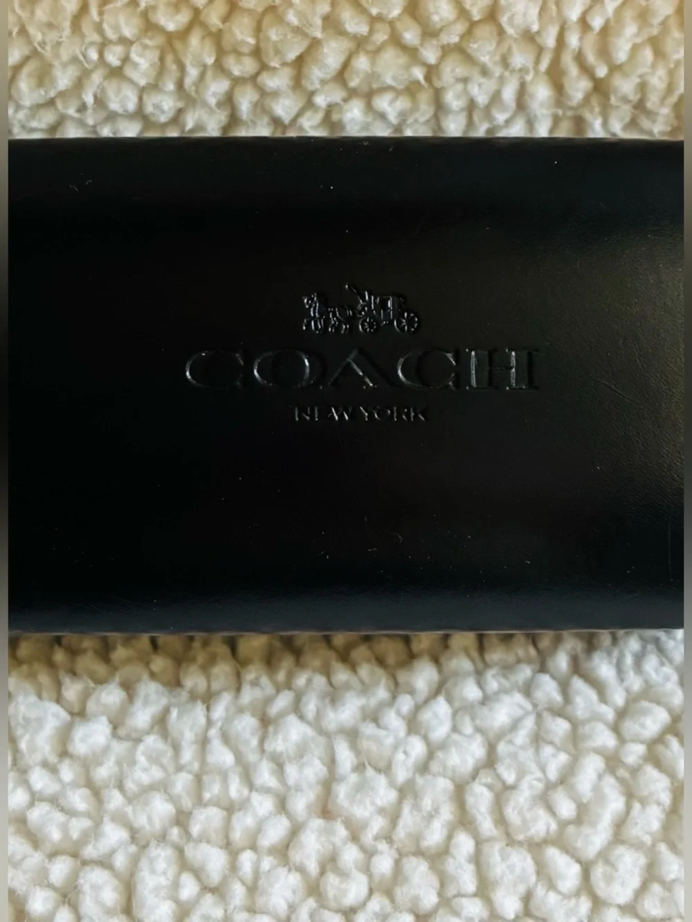 Coach and Ray-Ban Black Eye Glass Cases with Embossed Logos- Lot of 2